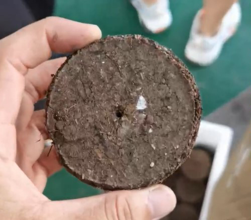 Гидравлический таблеточный пресс FTLD-35-1-20 